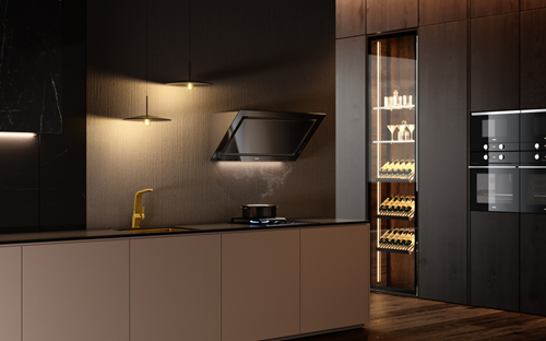 嵌入式廚房家電設計